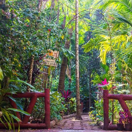 Maitreya Beach Resort Дайвеґар Екстер'єр фото